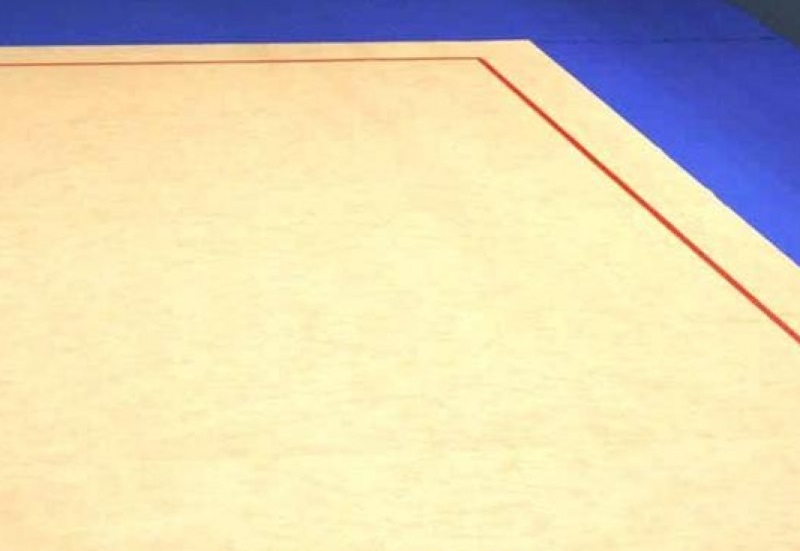 Kover-dlya-hudozhestvennoj-gimnastiki